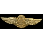 FBI PINS FEDERAL BUREAU OF INVESTIGATION WINGS PIN